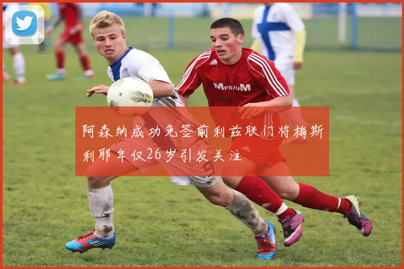 阿森纳成功免签前利兹联门将梅斯利耶年仅26岁引发关注